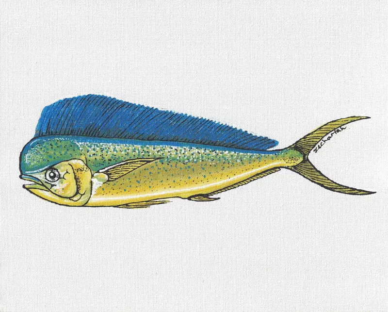 Dorado