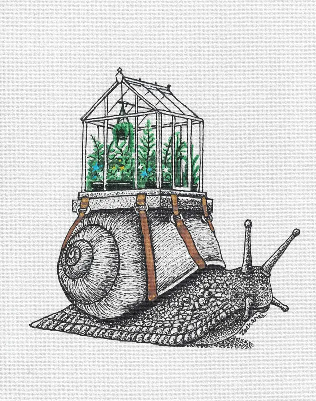 Garden Snail